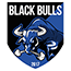 Black Bulls